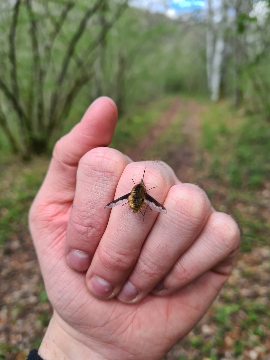 George Allen (he/him) tweet media