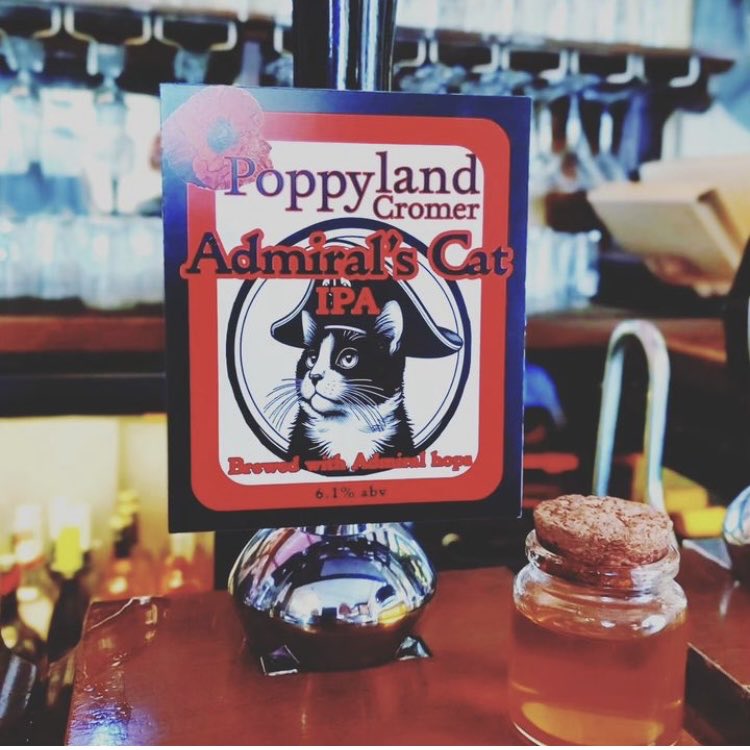 Red Lion Cromer our latest brew Admiral’s Cat a fabulous IPA #redlioncromer #cityofales #beer  #cromer #edf #northnorfolknews #edp #admiralscat #nelson #topcat #norfolk # Norwich