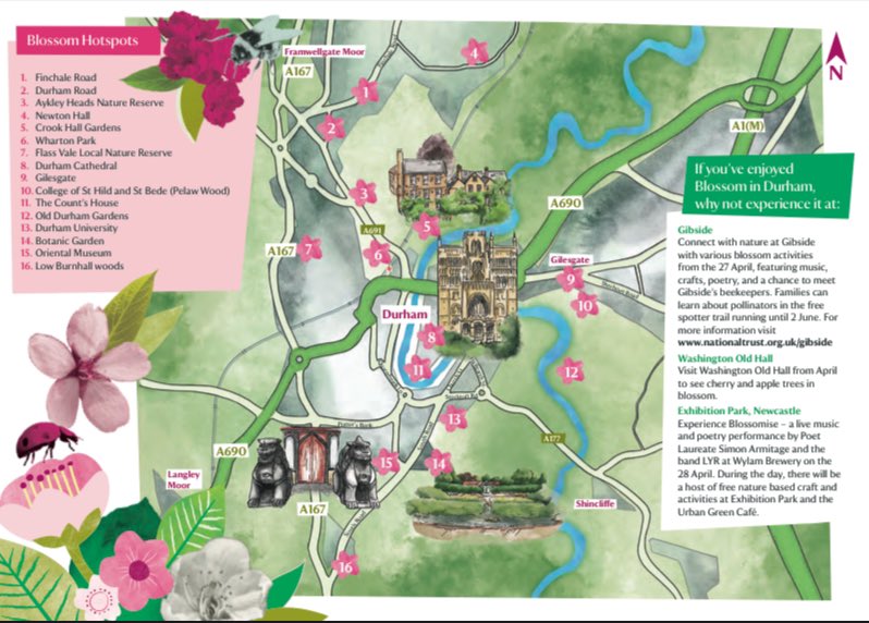 Yesterday the poet laureate told us at a @nationaltrust blossom event that spring travels up the country at a human walking pace. Beautiful Durham, I believe you are coming into blossom now. Here’s your lovely #Blossomwatch map. Happy Hanami!