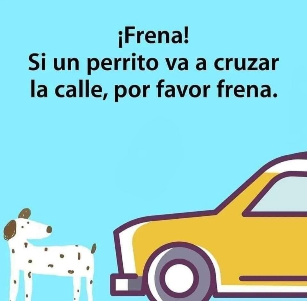 Estimados Conductores, Ustededes NO TIENEN el Poder, solo el Deber y Responsabilidad de RESPETAR la Vida en su Trayecto, tanto de los humanos como los Hnos Menores, merecen su Protección!!!.