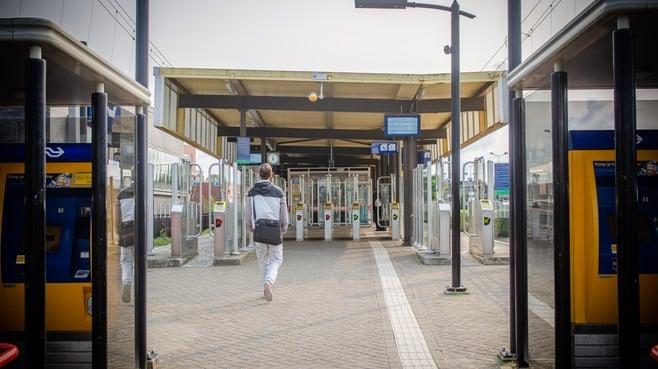 Noordhollands Dagblad tweet media