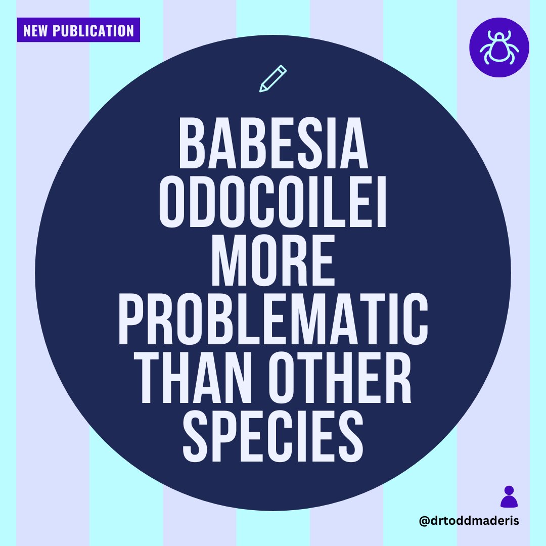 [NEW PUBLICATION] Babesia Odocoilei more problematic than other species #Babesia is a tick-transmitted parasitic infection closely related to malaria. Two species of Babesia, #Microti and #Duncani, are commonly recognized, but the lesser-known #Odocoilei may be more problematic.