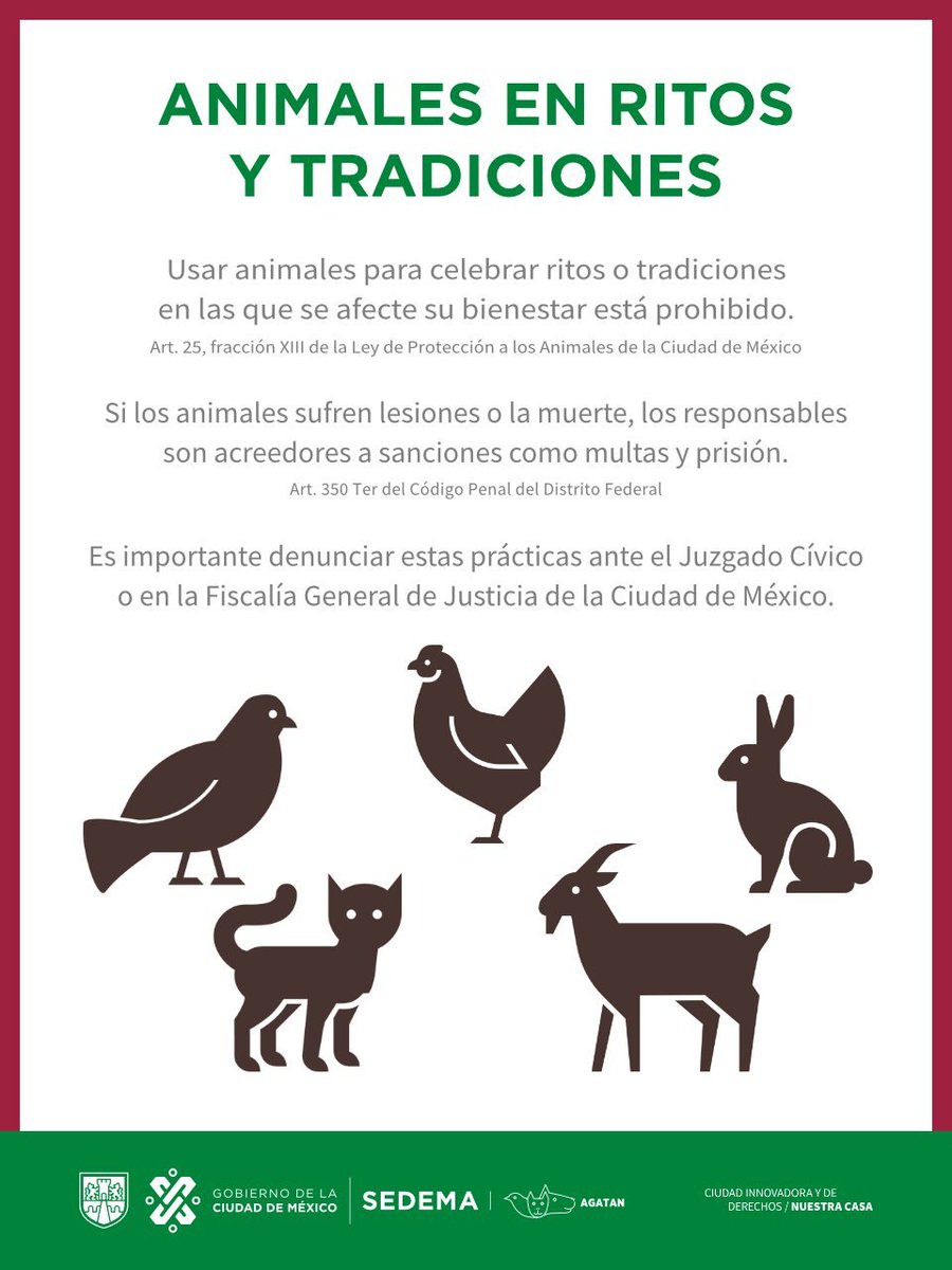 Este aviso es para comunicar que es posible #denunciar estas prácticas que desafortunadamente se han incrementado en los alrededores de #Narvarte Oriente #Sacrificio #Animal #Rios #Narvarte6 #BJ #CdMx #SEDEMA