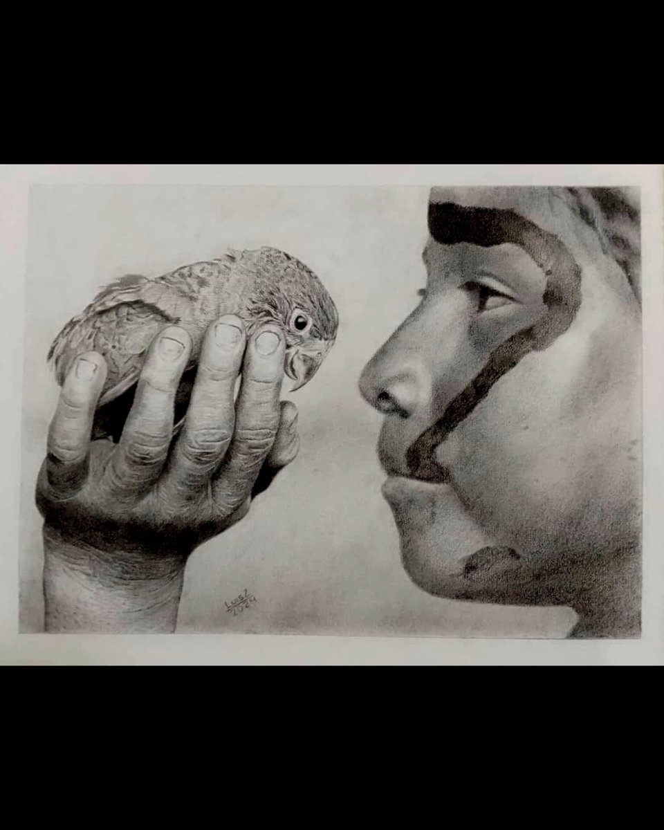 zorrillaarte's tweet photo. Aquí mi nueva obra. No les miento, que estoy enamorado de ella. Una obra inspirada en una fotografía del fotógrafo venezolano Isaac Paniza. 
Una niña Yanomami 🇻🇪 contemplando la belleza de un lorito 💙🦜. https://t.co/rDzyZ19xal