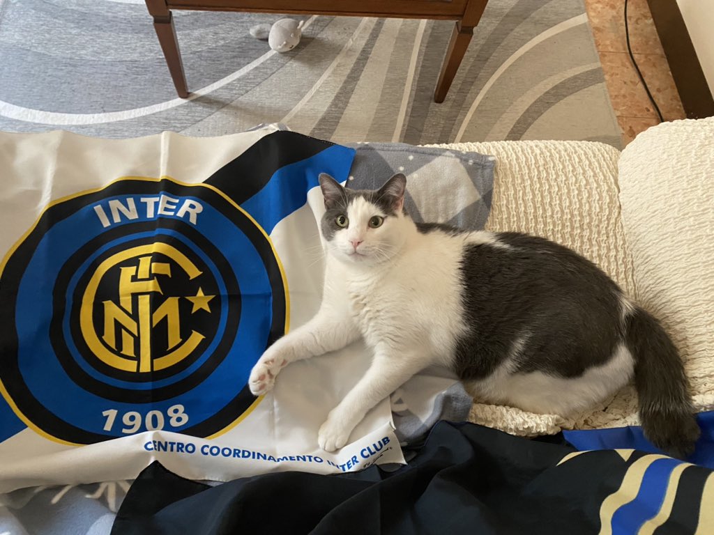 tcsddm4ever's tweet photo. @Inter https://t.co/wh4bODLazE
