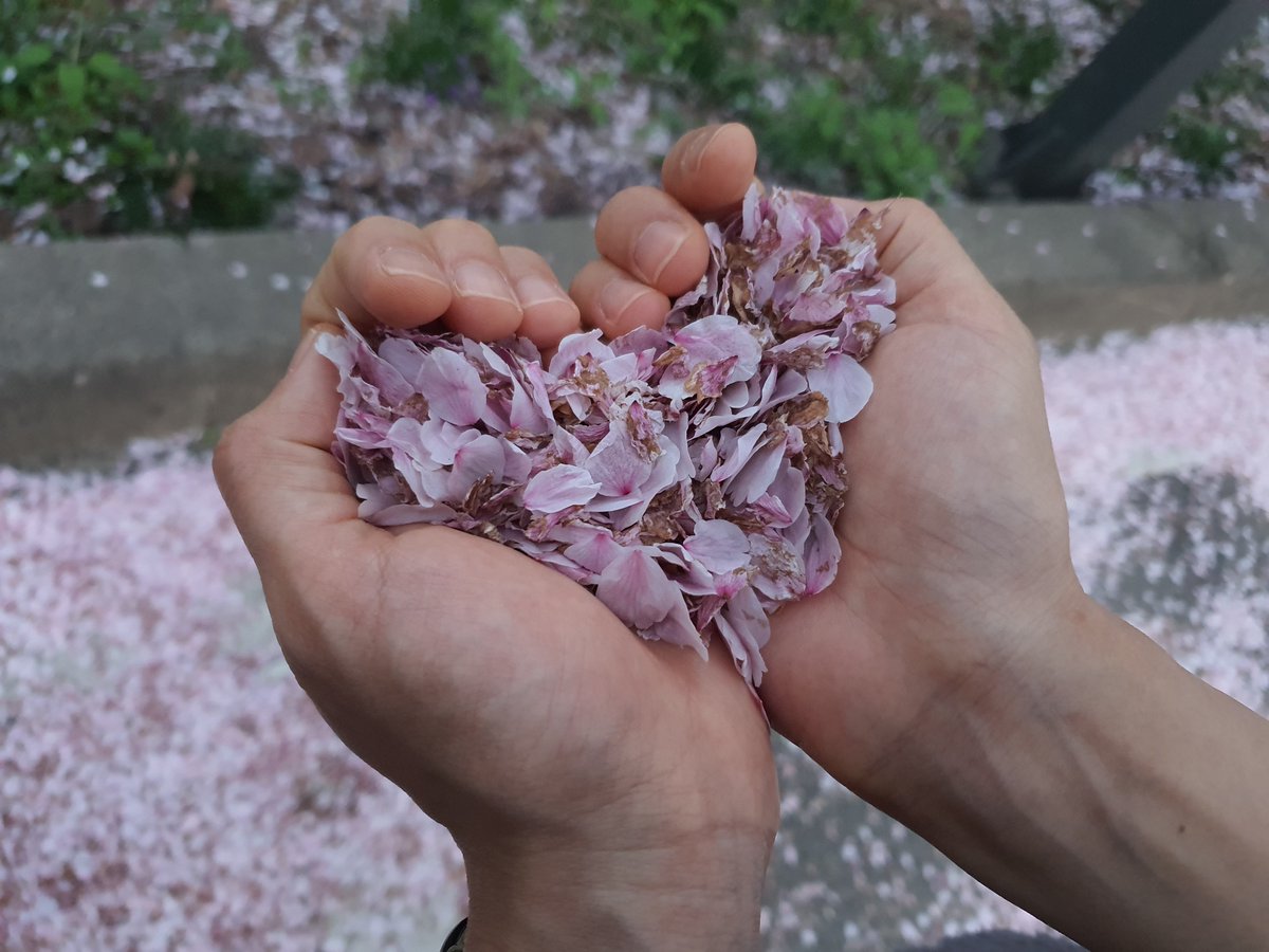 행복했던 10개월.