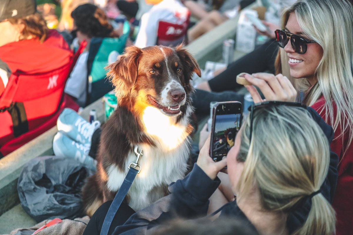 PAW-sitively adorable friends showed up to The Joe tonight🐾 #RollTide | @AlabamaBSB