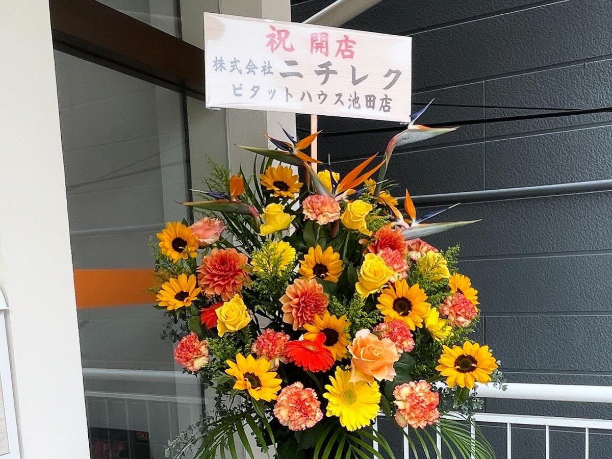 WowYukky's tweet photo. たくさんのお祝いのお花をいただき
4/23兵庫ライフスタイルをオープン致しました😊
これからもよろしくお願い致します😊 https://t.co/MTni1WyXXt