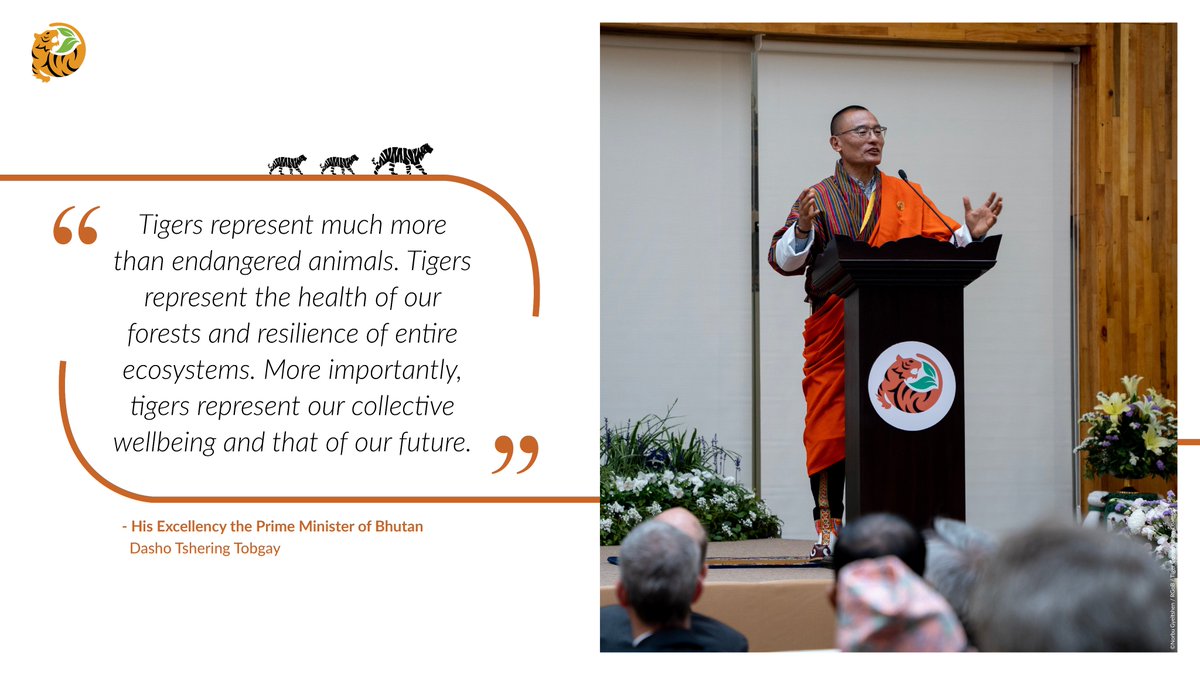 We agree with His Excellency the Prime Minister of Bhutan, Dasho Tshering Tobgay, a global environmental champion. …When we protect tigers, we protect so much more 🐅🌏 #tigerfinance #investintigers