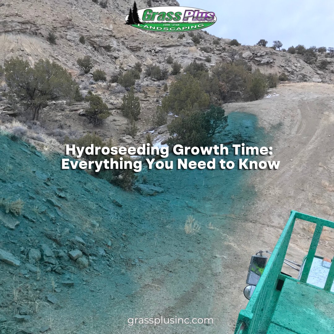 What to Expect During the Hydroseeding Process

1. Immediate Post-Application
2. Germination
3. Growth and Establishment
4. Maturation 

zurl.co/pC91 

#hydroseeding #landscaping #lawnmaintenance #greengrass #outdoorliving #yardmakeover