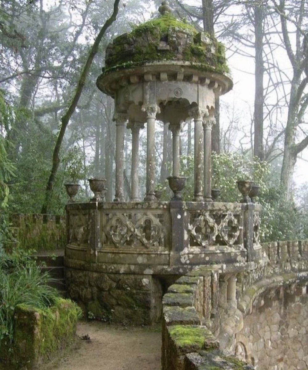 ✨to have this be a part of your normal day must have been an amazing time ✨