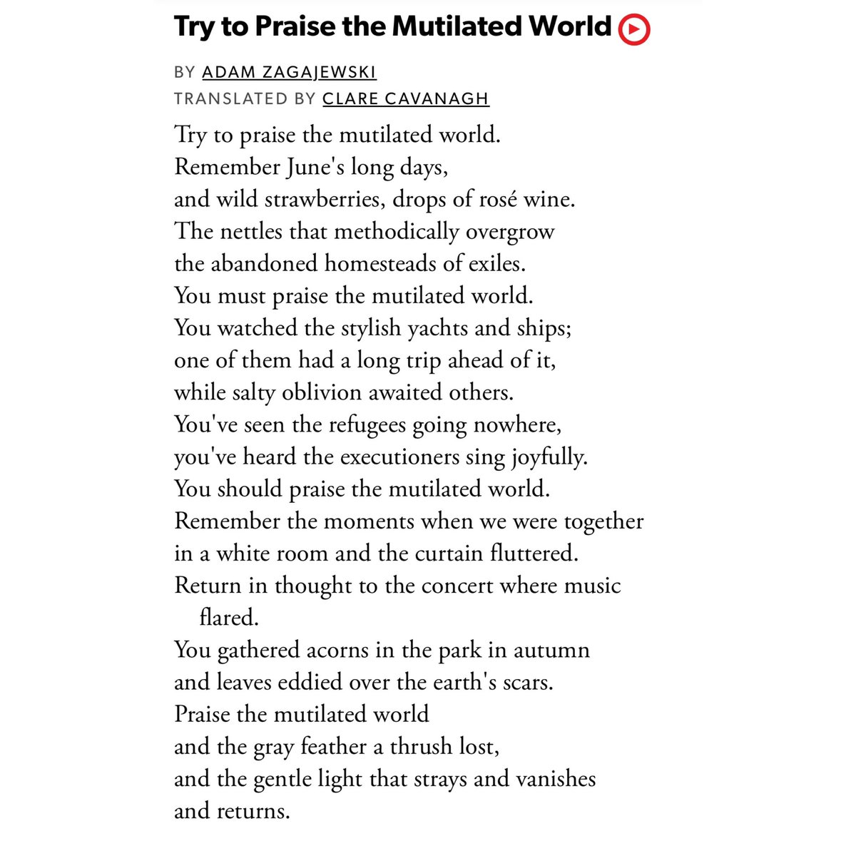 “You should praise the mutilated world.” A poem by Adam Zagajewski (translated by Clare Cavanaugh)