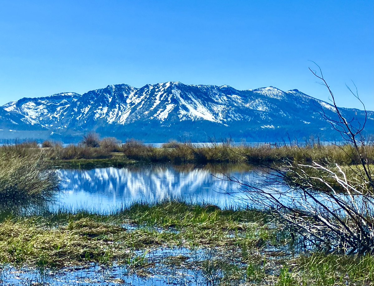 When lakes become mirrors, like a reflection of what really matters in life shining on our own soul 🥹🏔️🌲

#MountTallac and the #CrystalRange from #TruckeeMarsh, #SouthLakeTahoe 💕