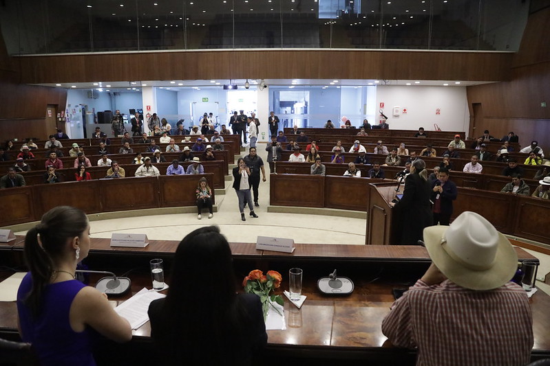 En el Salón José Mejía Lequerica, las asambleístas @anaraffo1 y @MoniPalaciosZ presentaron el proyecto de Ley Reformatoria de Alivio Económico para los Agricultores, que tiene como objetivo brindar apoyo y soluciones al sector agrícola frente a diversas dificultades económicas.…