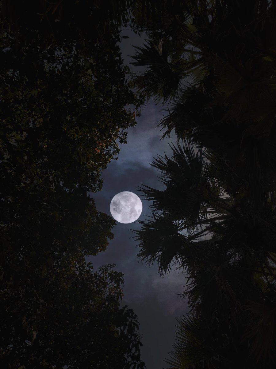 Full Moon Day's 🌕✨😍📸
.
.
.
.
.
.
#moonlight #moondays #pournami #fulllight #verybeautiful #myphotography #myvilage #enugukondaiahpalli #chittoor #ilikephotography #devaphotography #devafilmstudio 
@urstrulyMahesh