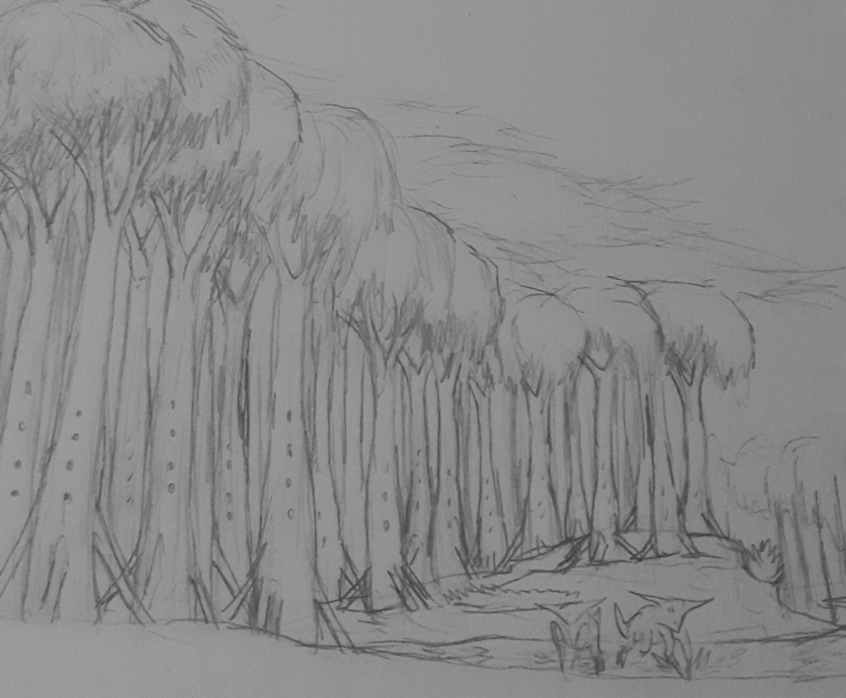 Cry forest
#art #arte #ilustracion #ilustration #specevo #projetastrallis