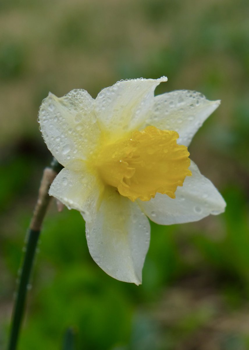 おはよう。✨

雨の朝です。

#キリトリセカイ