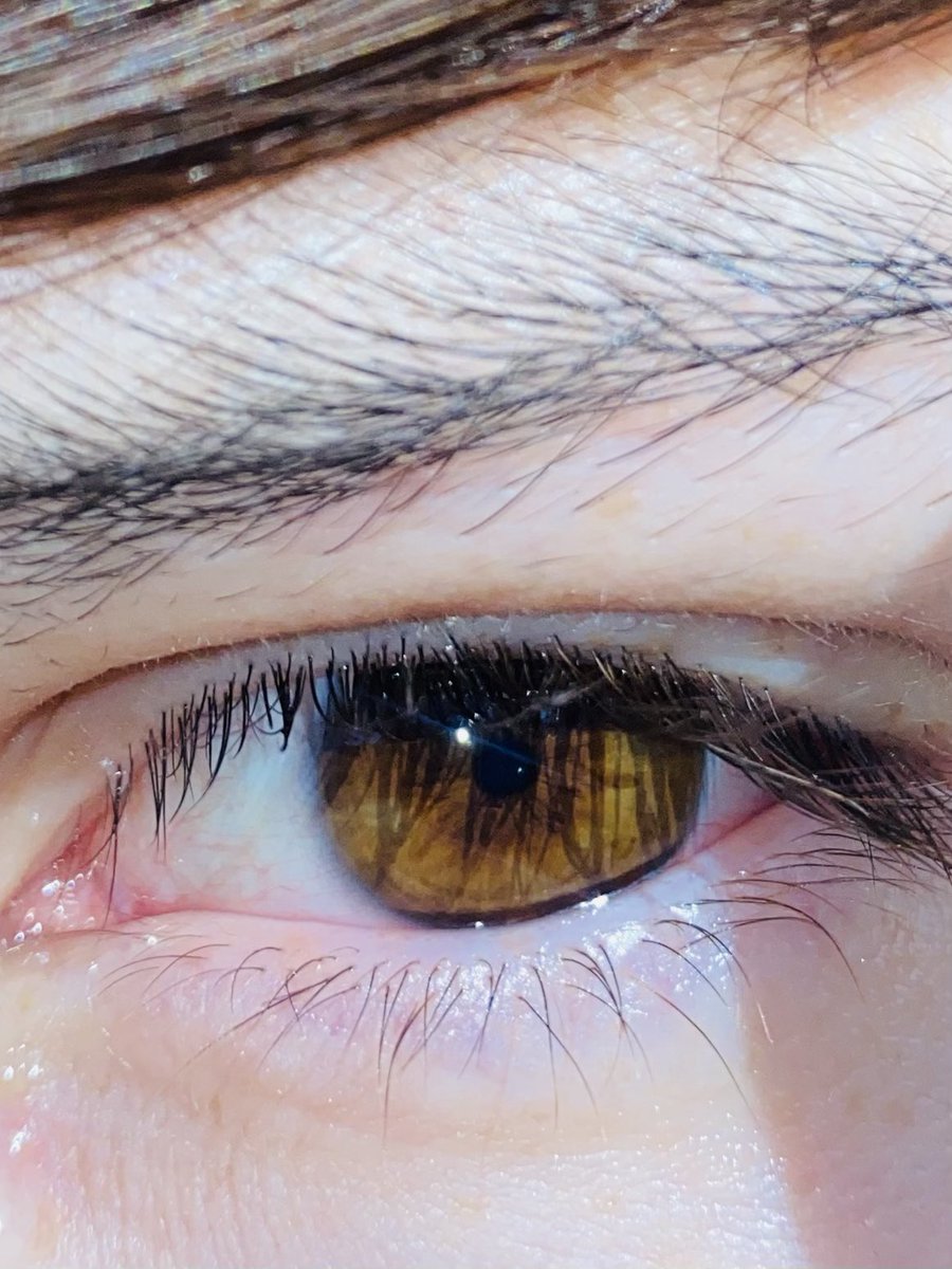 BvRoblox's tweet photo. Ojos miel? O q son ayuda #x https://t.co/c0LaZT91rw