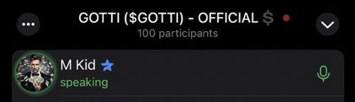 GottiToken's tweet photo. 100 $GOTTI family members in @telegram VC listening to @MKid12276995

Come join us! Link in bio.

#GottiToken #Solana #GottiGang https://t.co/Y89EePEyoL