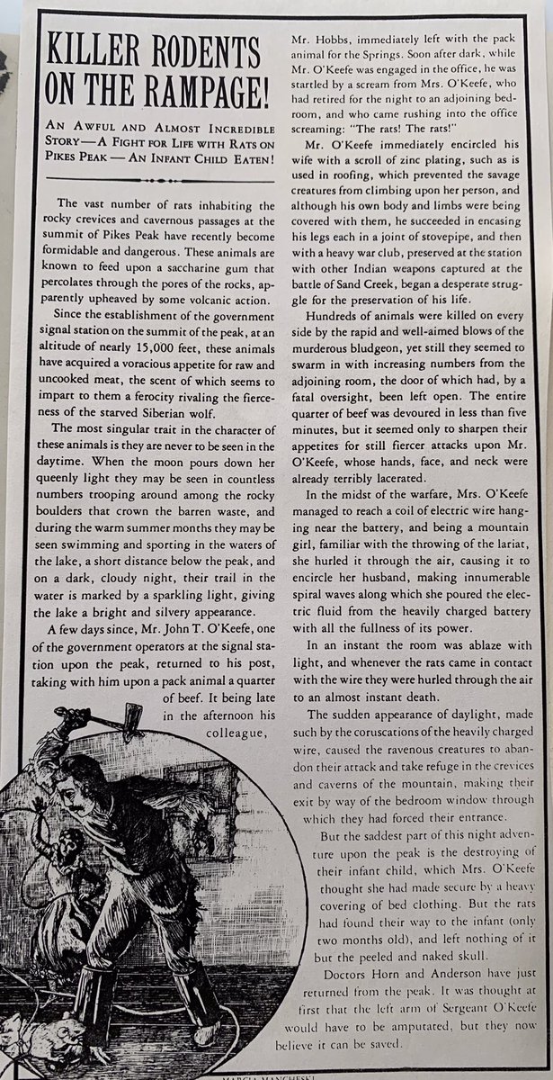 Found on the reporting trail today. RIP Mr. O’Keefe, killed by mountain rats…