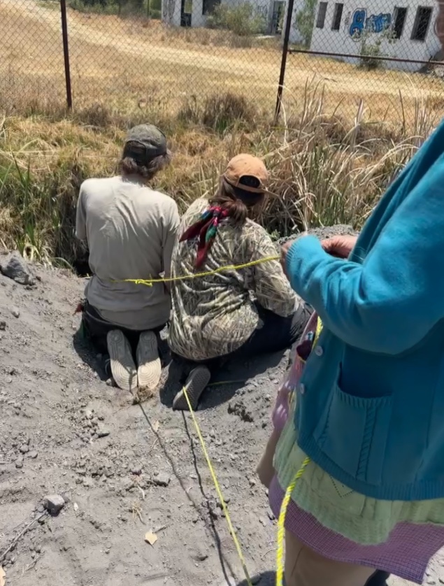 in the cracks of the canyon tweet media