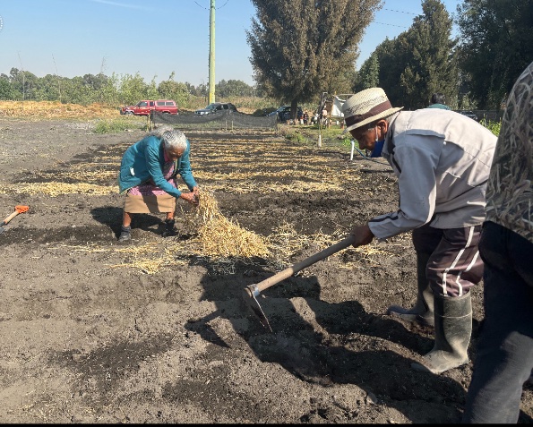 in the cracks of the canyon tweet media