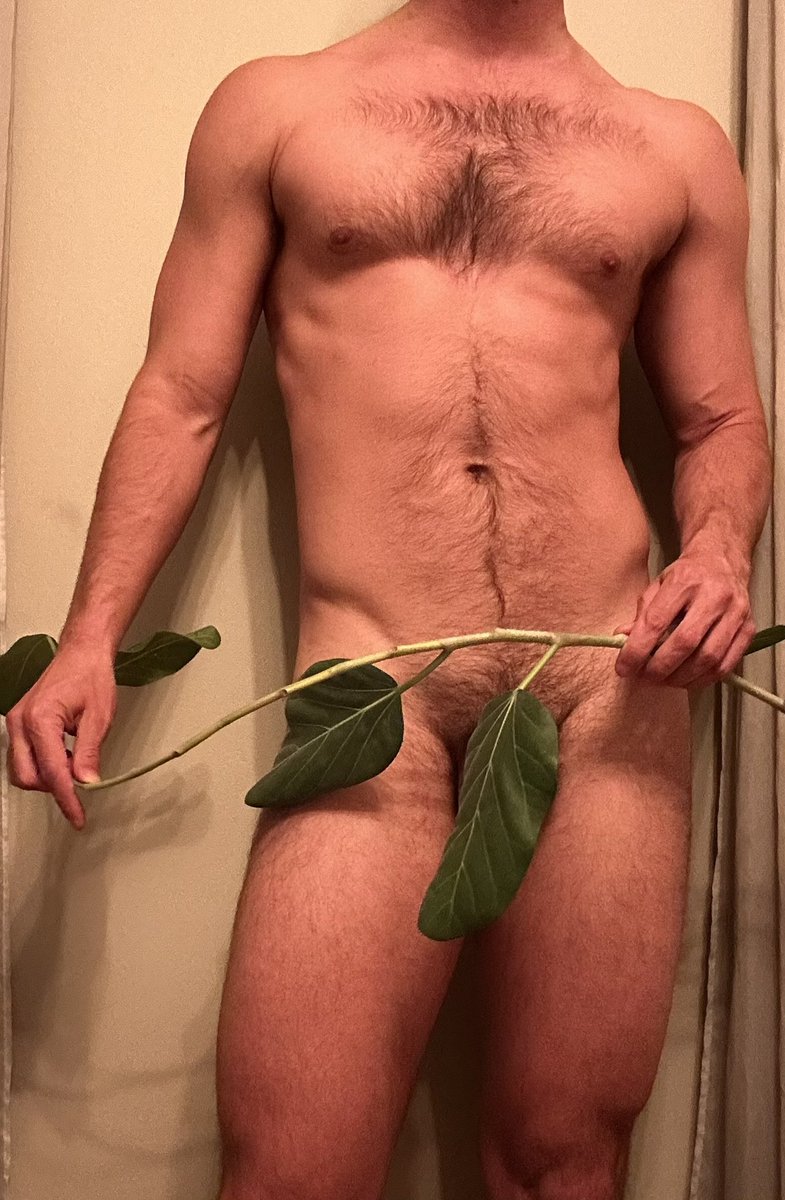 funsizedco's tweet photo. Come prune my garden 🌱 https://t.co/j320VdWFsJ