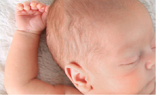 BassinetBest's tweet photo. Baby Sleep Miracle Review- A Good Baby Sleep Training Guide
https://t.co/gHuC96TecR
#babybassinetworld #babysleepmiraclereview https://t.co/mBdxUyV1kk