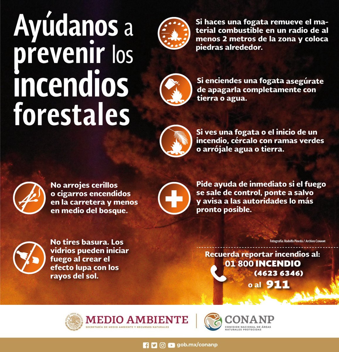 Cuidar de los ecosistemas, como selvas y bosques, genera bienestar para ti, tu familia y tu comunidad. 🌲🌊🌳👨‍👨‍👧‍👧

Evitar los #IncendiosForestales 🔥 es tarea de todas y todos, ¡cuidemos la vida! 💚

#PrevenirParaConservar 👩🏽‍🚒🐍🐾🦎🪵🚒🐿️