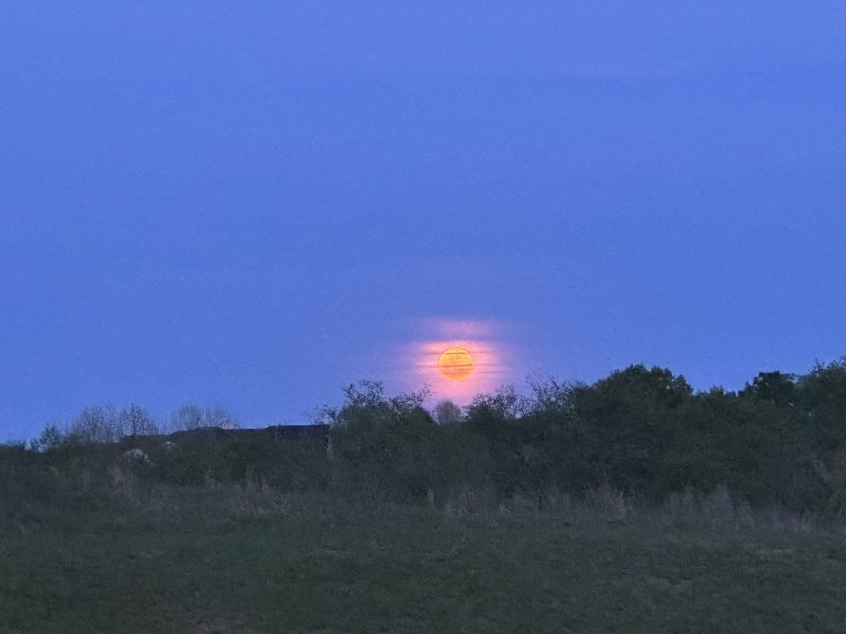 Fatima Nyeema (@iamfatimare) on Twitter photo #TeamDean The beautiful moon tonight🥰
<a href="/RealDeanCain/">Dean Cain</a>
<a href="/Talk_2_Da_Paw/">Camden's Chronicles</a>
<a href="/call_me_gin/">call_me_gin</a>
<a href="/darlin77230527/">Christine</a>
<a href="/kroppandrea1/">Andrea Kropp</a>
@twistedwhiska
<a href="/SueBeeDexter/">Sue Dexter🙏🇺🇸🕊 👨👩👧👦🏈🎵🥀🏒</a>
<a href="/KathyPalmerSmi1/">kps66</a>
<a href="/J9DC/">Janine L Doherty Bilotti</a>
<a href="/afbrat1986/">Kara</a>
@gaylawelton6
<a href="/tonichiulli/">ToniC</a>
<a href="/jodiekjodie/">Jodie</a> #TeamDean The beautiful moon tonight🥰
<a href="/RealDeanCain/">Dean Cain</a>
<a href="/Talk_2_Da_Paw/">Camden's Chronicles</a>
<a href="/call_me_gin/">call_me_gin</a>
<a href="/darlin77230527/">Christine</a>
<a href="/kroppandrea1/">Andrea Kropp</a>
@twistedwhiska
<a href="/SueBeeDexter/">Sue Dexter🙏🇺🇸🕊 👨👩👧👦🏈🎵🥀🏒</a>
<a href="/KathyPalmerSmi1/">kps66</a>
<a href="/J9DC/">Janine L Doherty Bilotti</a>
<a href="/afbrat1986/">Kara</a>
@gaylawelton6
<a href="/tonichiulli/">ToniC</a>
<a href="/jodiekjodie/">Jodie</a>