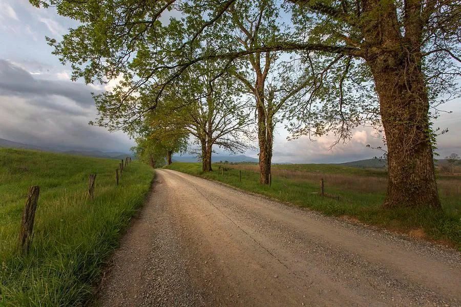 This image 'Road Not Traveled' was used for the documentary film by Ken Burns about Country Music. #landscapephotography #NaturePhotography #naturelovers #Kenburns #nature #art   #smokymountains #travel
Click link for info and pricing buff.ly/4d9RY1e
