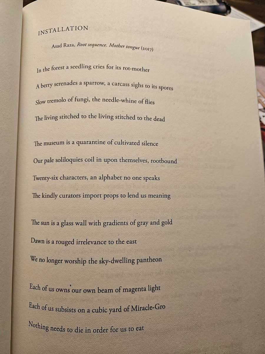 'Dawn is a rouged irrelevance to the east' 'Installation' by Monica Youn (@MonicaYoun), from From From (Graywolf Press @GraywolfPress, 2023) #366DaysOfPoetry Day 88