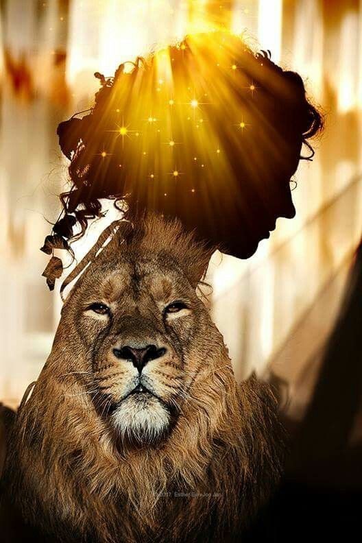 Be True To Your Heart, Regardless of Opinions of Others. Be The Lion. ✨️💫🌟🤍🌟💫✨️