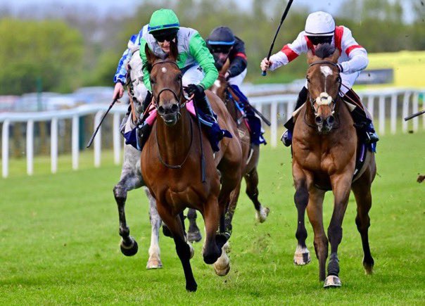 Marco Botti Racing tweet media