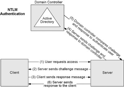 Pass the hash: Gaining access without cracking passwords 🚨‼️

Source: meriemlarouim.medium.com/pass-the-hash-…

#Hacking #infosecurity #infosec #Pentesting #redteam #pwn #CyberSecurity #CTF #CyberSecurity  #cybersecuritytips #CyberSecurityAwareness