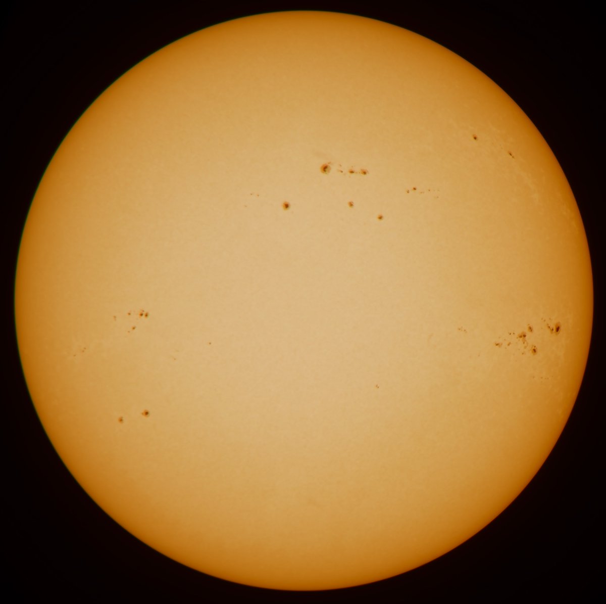 Sun today 23042024. White light safety filter. 17 named active regions and 132 sunspots. Southern AR3638-47 is crackling with M-class solar flares. #astrophotography #sun #solar #sunhour #stormhour #thephotohour #sunspots