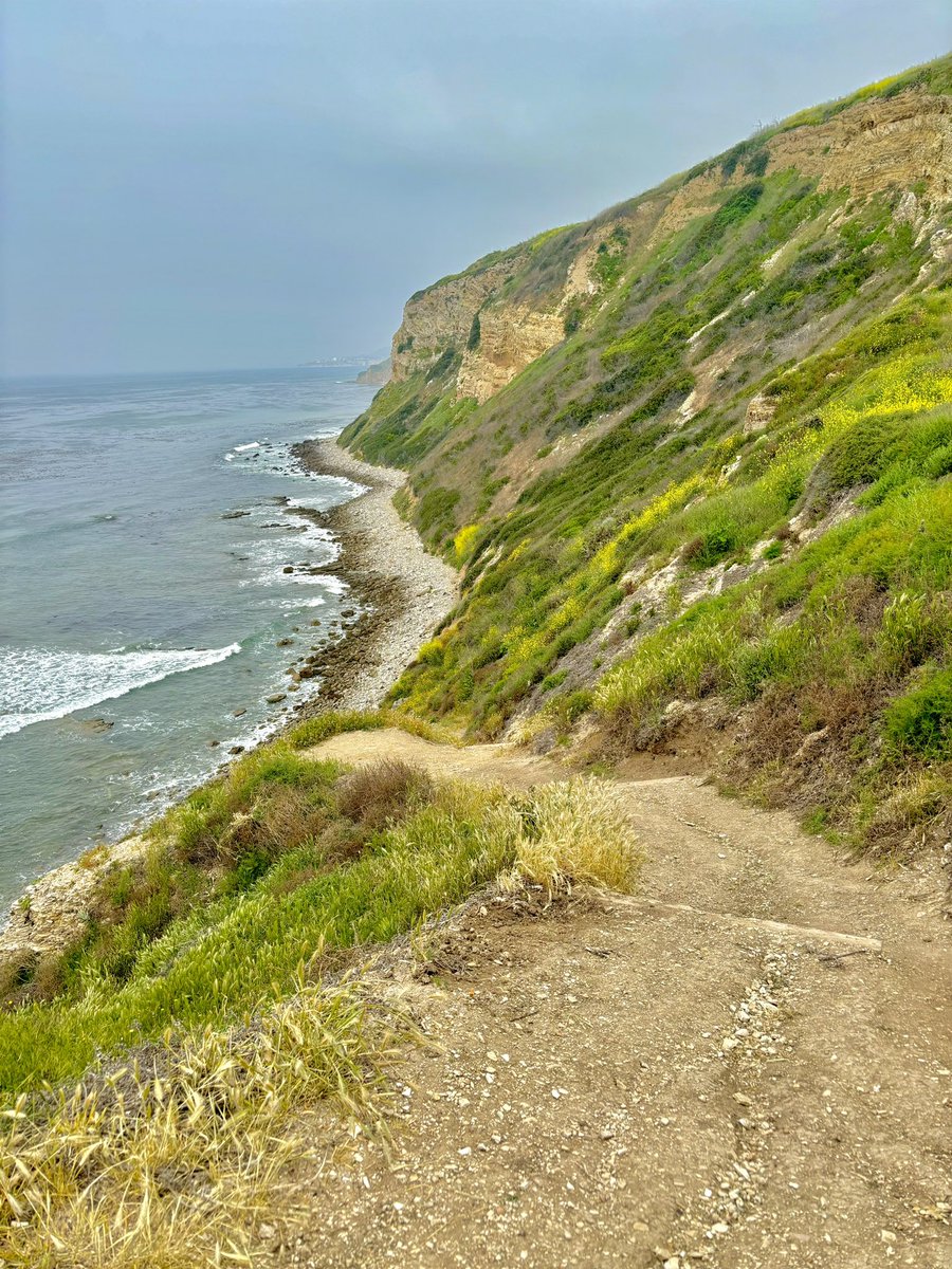 Path to the beach 

#beach #trail #hiking #hikingadventures #ocean #NatureBeautiful #naturephotography