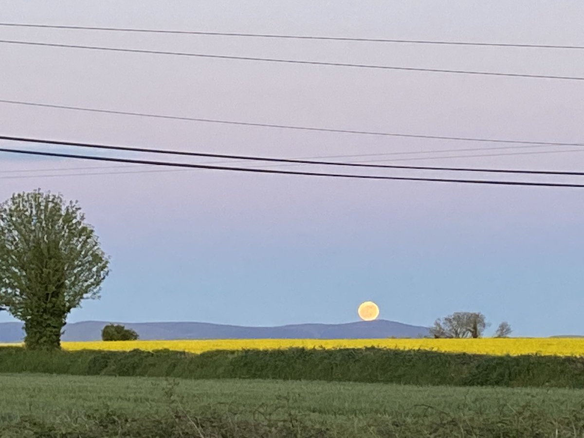 Moon rising over the Comeragh Mountains @CarlowWeather