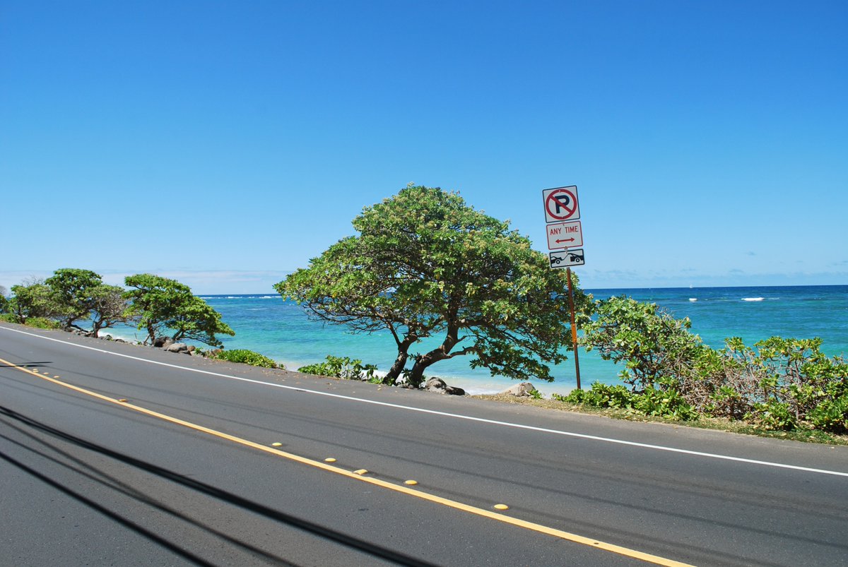 Every day 13,000 people use Kamehameha Highway, linking the Ko’olauloa district and Honolulu metro area. It needs protection from waves, erosion, and the increasing impacts of climate change. We're working with Hawaiʻi DOT to fund a much-needed barrier.