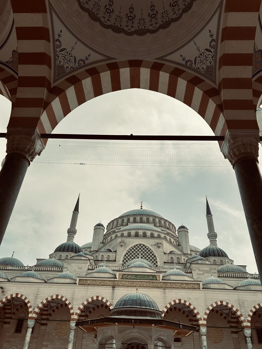 yasemin.karaca tweet media