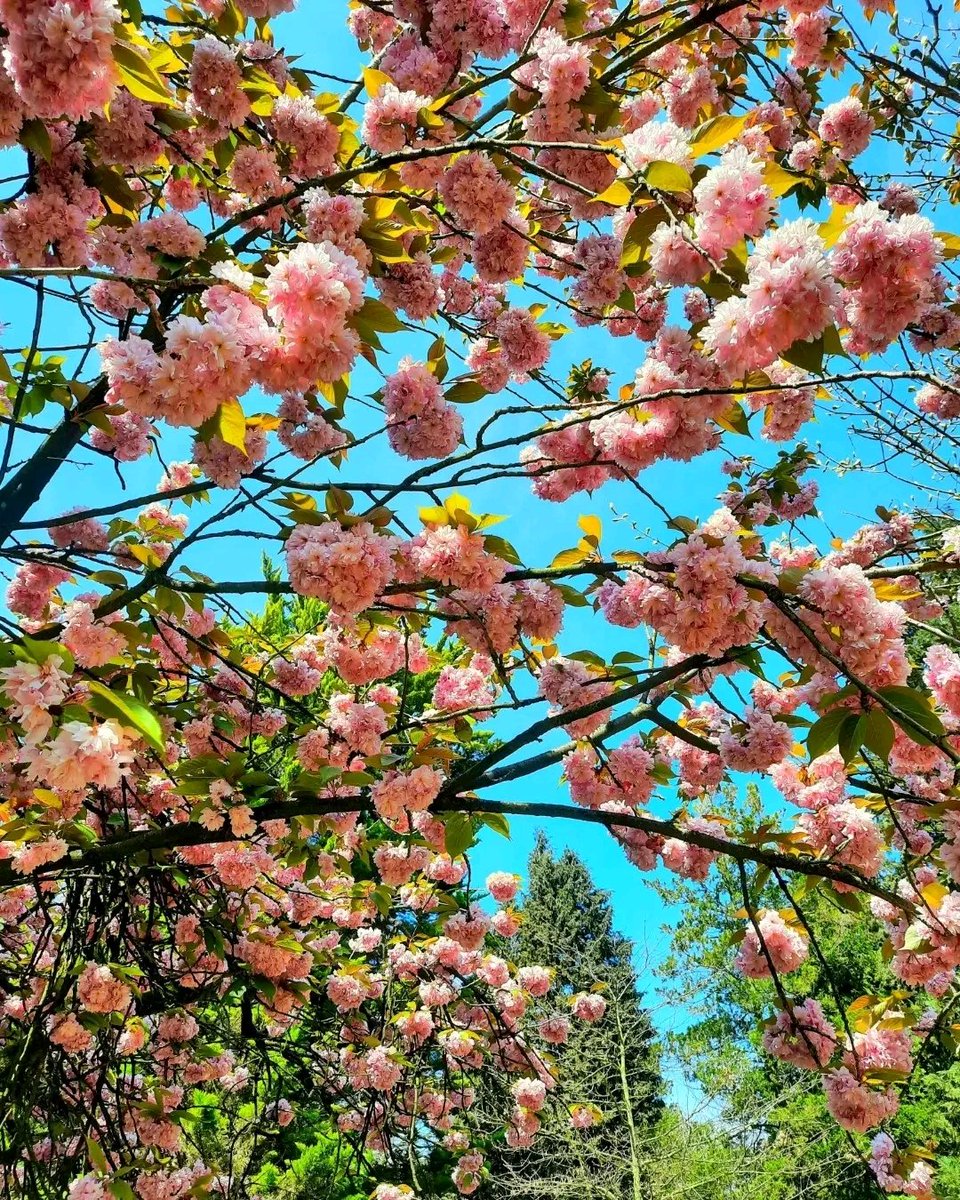 Deze waken bij pa. En dat zou hij prachtig vinden. 🤍