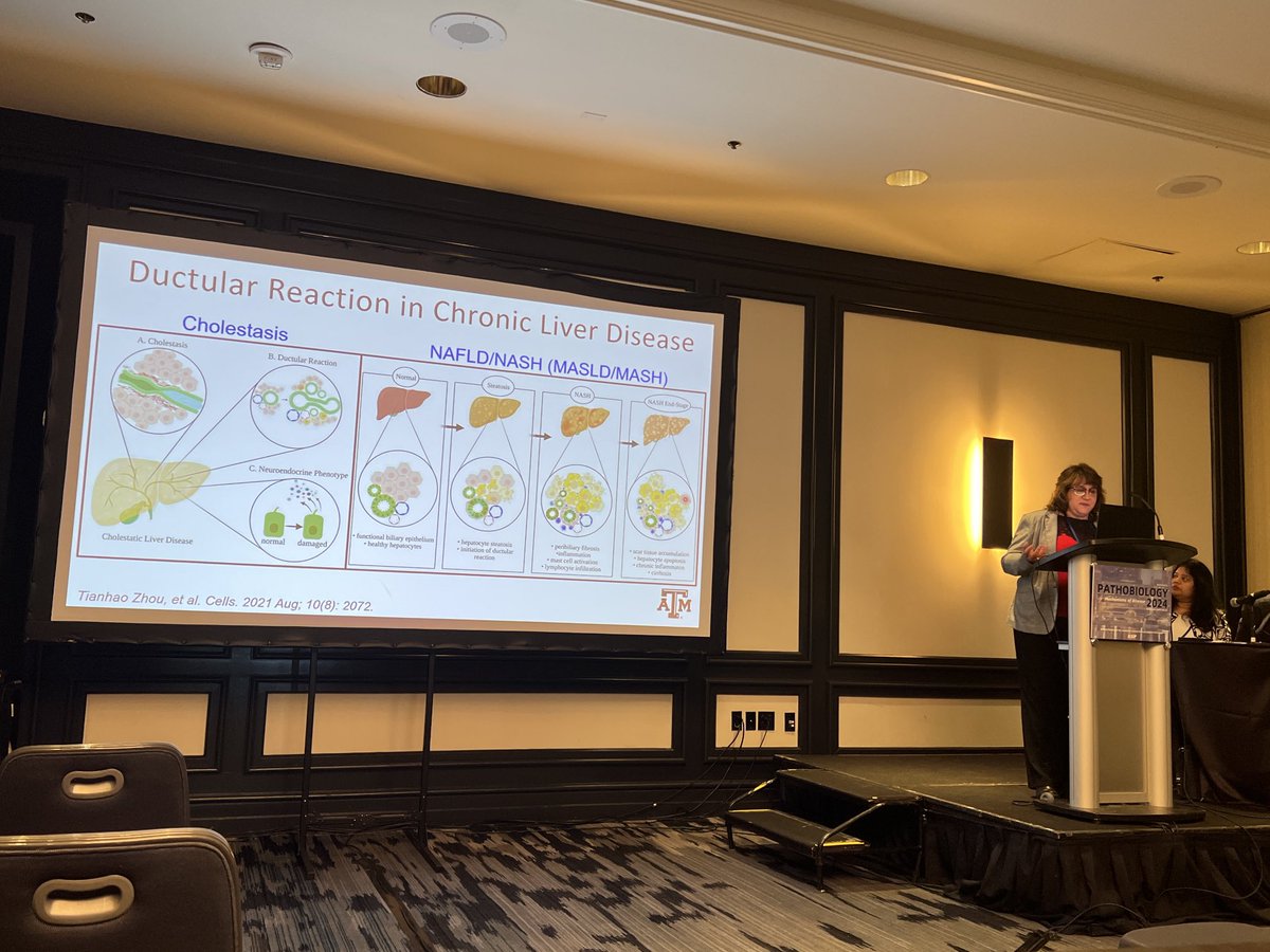 ChakrabortySLab's tweet photo. Wonderful talk by β¦@ShannonGlaser16β© on role of inflammatory pathways in the gut-liver axis and promotion of liver injury β¦@ASIPathβ© #ASIP2024 β¦@TAMUmedicineβ© https://t.co/rDTnwBgjYv