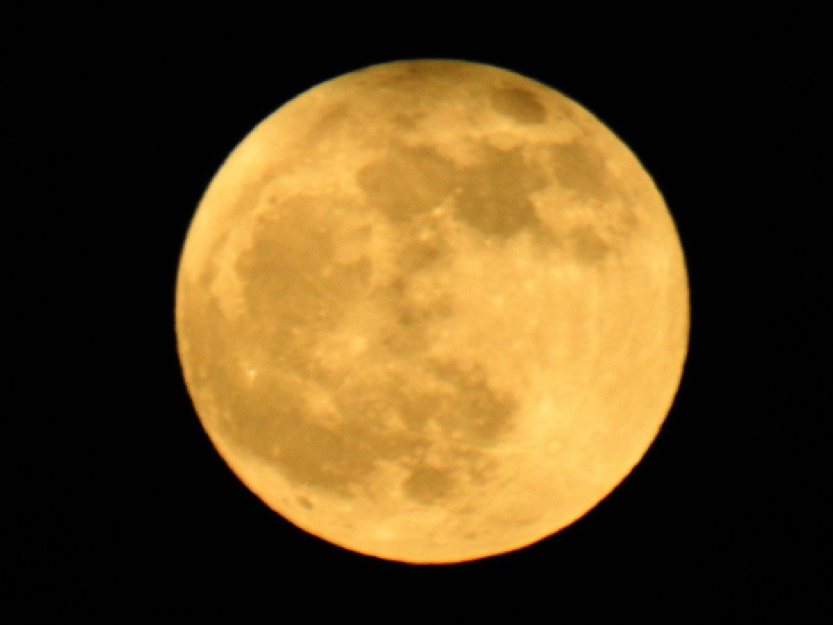 mildthing99's tweet photo. *Pink moon is on its way*
#FullMoon (100%) #PinkMoon over the chimneys at #TankertonBay from #TheStreet #FishMoon #GrassMoon #HareMoon #EggMoon
@WhitstableLive @DavidBflower @PeterGWeather @liamdutton @StormHour @metoffice @ThePhotoHour
#StormHour #loveukweather #getoutside https://t.co/CC1DSOYQoC
