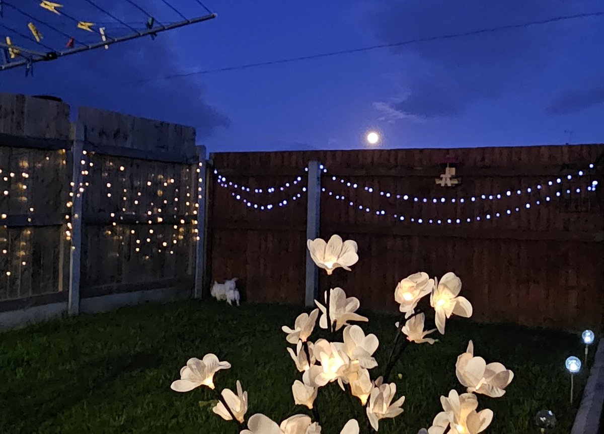 Sarah Stait tweet media