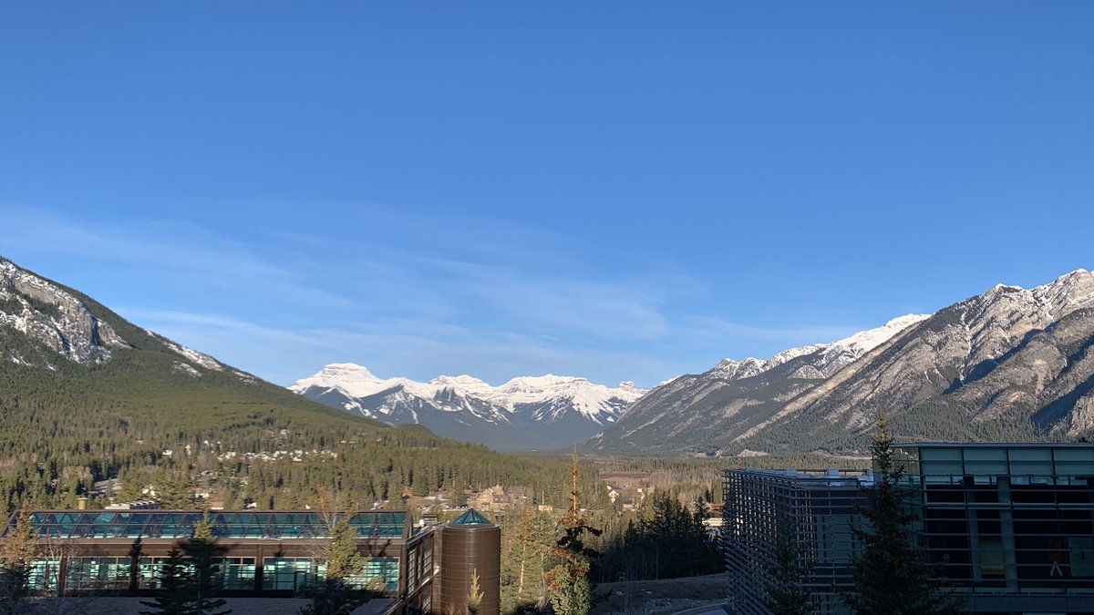 Worst view ever!
Glad to be back at #CSI2024 for brainstorming and connecting with the greatest minds in #immunology