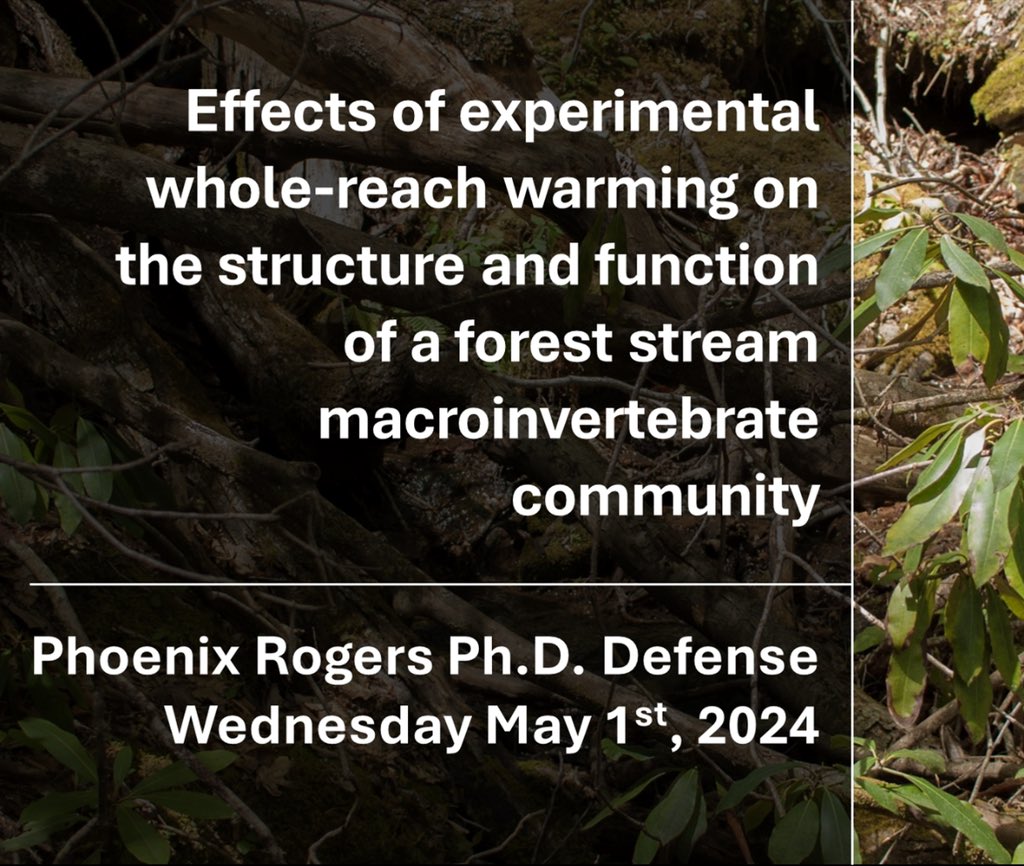 My defense is actually happening next Wednesday at 10 AM CDT! DM me for the zoom link if you care to attend and learn a lil about the results from my dissertation.