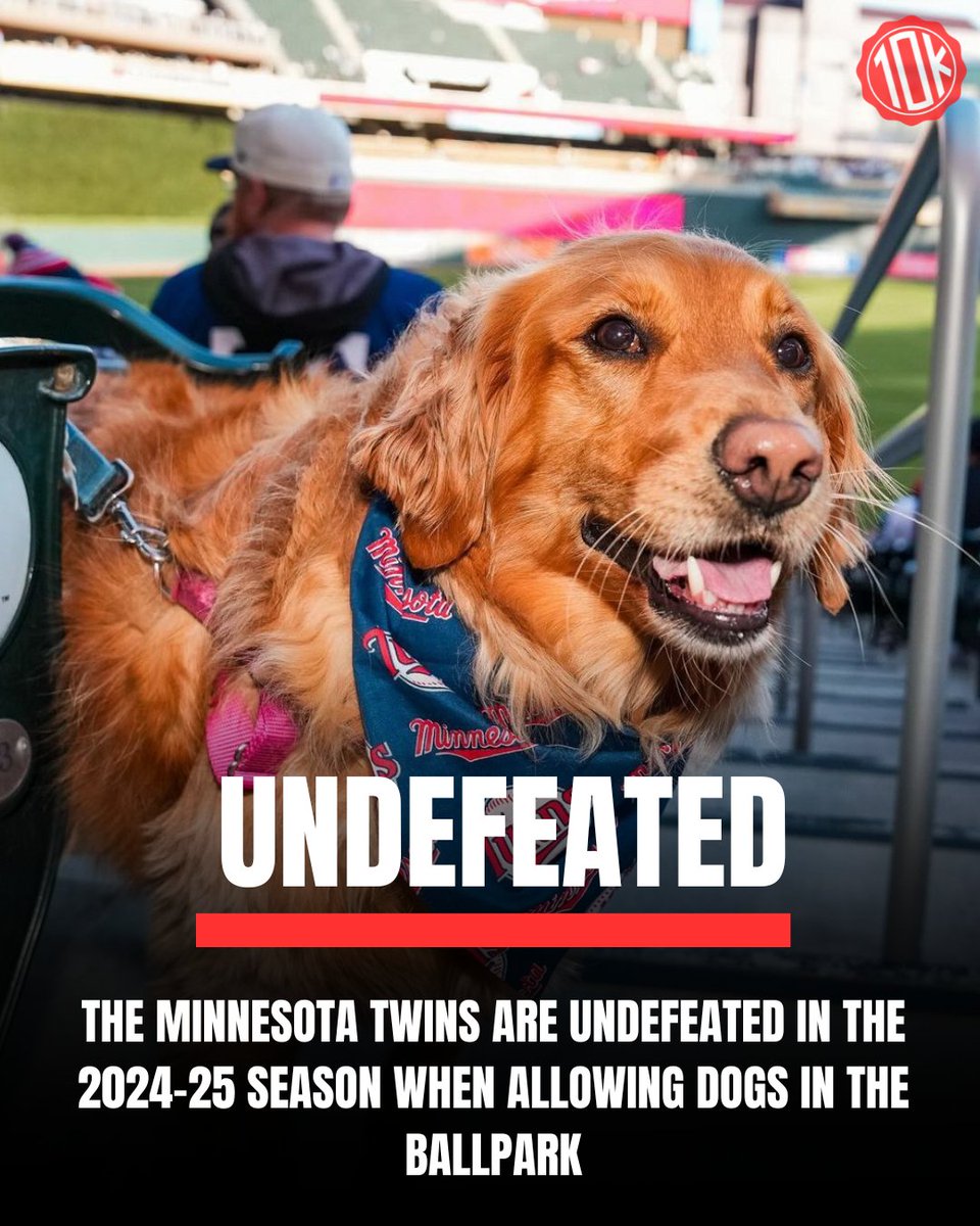The #MnTwins are UNDEFEATED when allowing dogs in the Ballpark. If they continue to allow pooches at Target Field, they are on track to never lose another home game