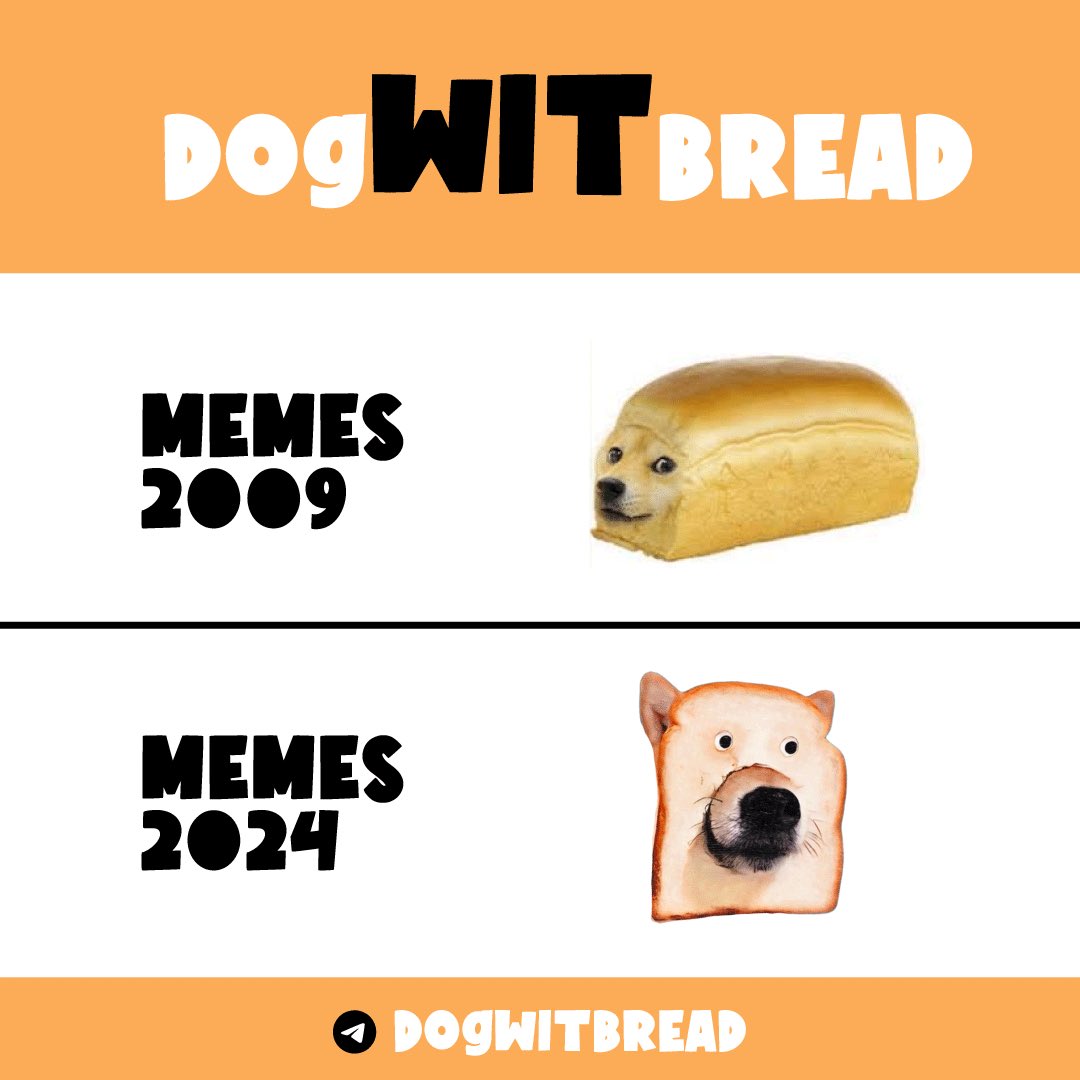 CyMoo0n's tweet image. Evolution at its finest $WIT @Dogwitbread