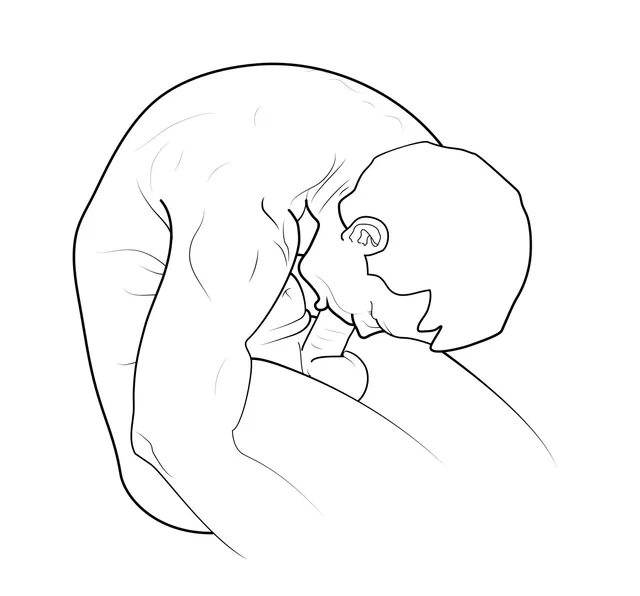 Winston Wolfe tweet media