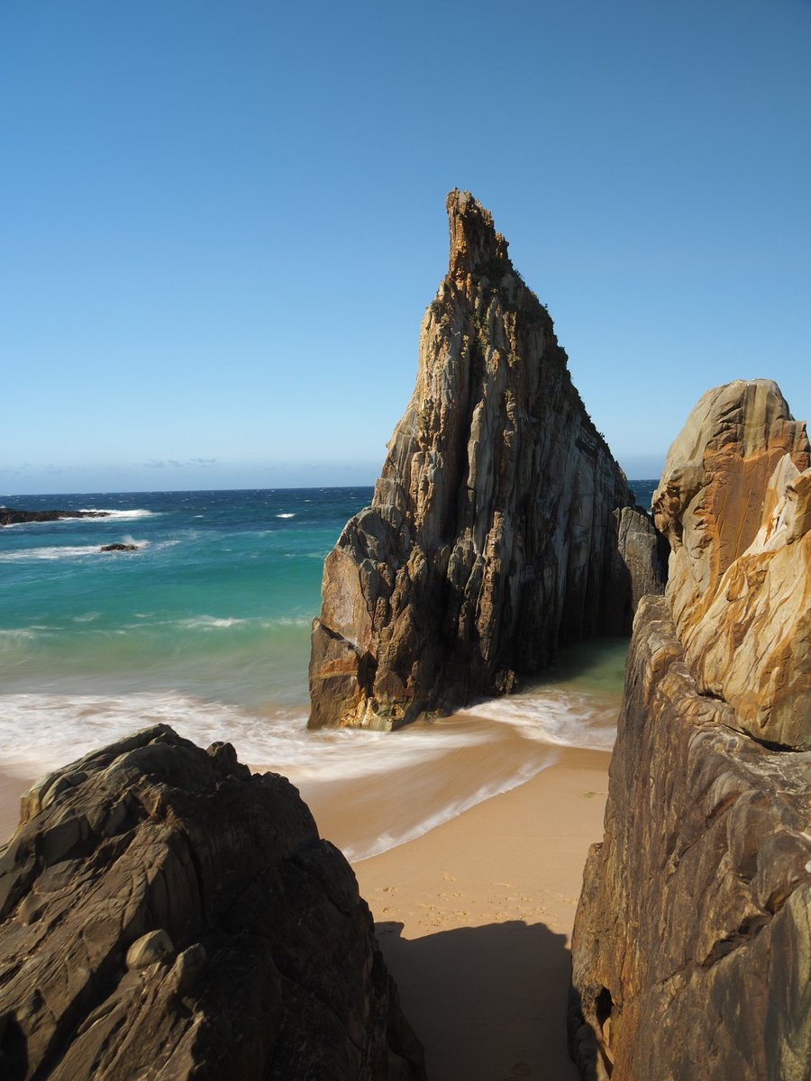 Francisca Tugores tweet media